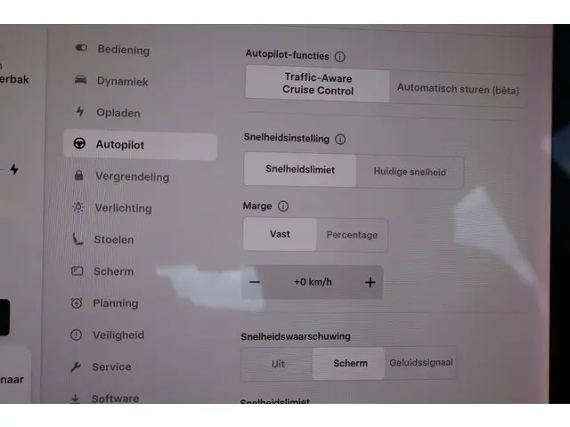 Tesla Model 3 Performance AWD 75 kWh 2019 Elektrisch 32