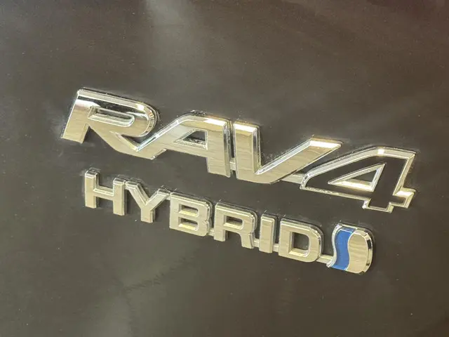 Toyota RAV4 2.5 Hybrid Energy Plus 2019 Hybride Benzine 16