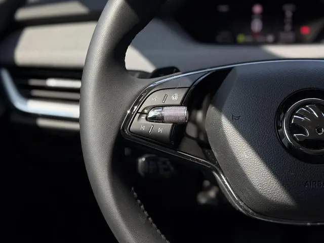 Škoda Enyaq iV 80 2021 Elektrisch 19