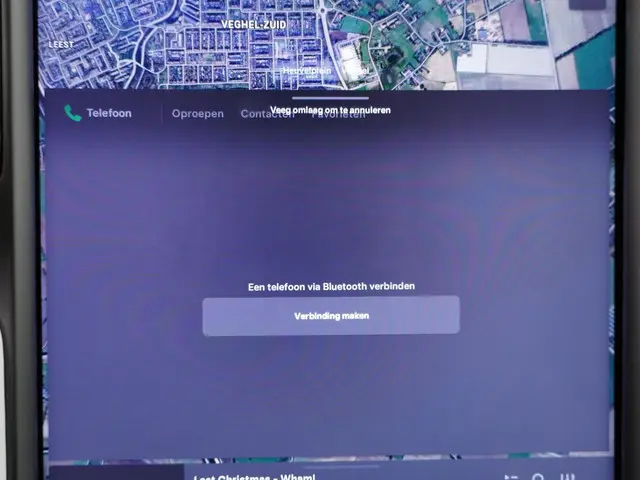 Tesla Model X Long Range 100Kwh 2020 Elektrisch 40
