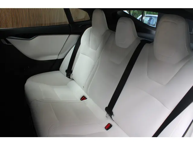 Tesla Model S 100D 2018 Elektrisch 13