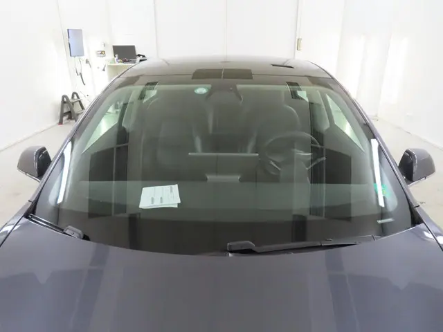 Tesla Model 3 Standard RWD Plus 60 kWh 2020 Elektrisch 16
