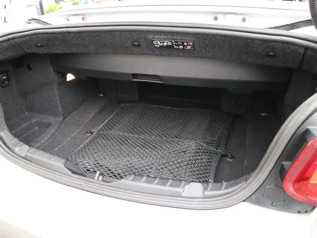 BMW 2 Serie Cabrio 220i 2015 Benzine 21