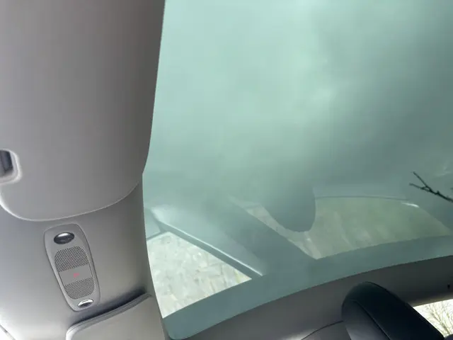 Tesla Model Y Long Range AWD 75 kWh 2022 Elektrisch 19