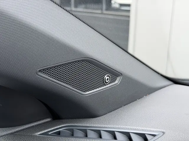 Volkswagen Polo 2.0 TSI DSG GTI 2020 Benzine 21