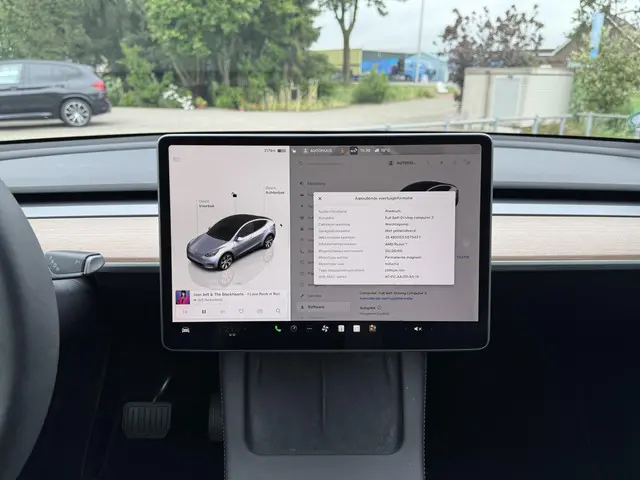 Tesla Model Y Long Range AWD Dual 2023 Elektrisch 24