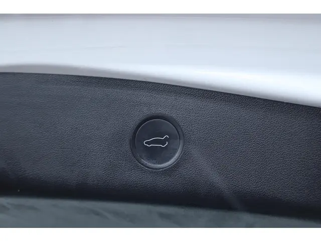 Tesla Model 3 Long Range AWD 75 kWh 2021 Elektrisch 19