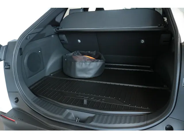 Toyota bZ4X Executive 73 kWh, 2025 Elektrisch 20