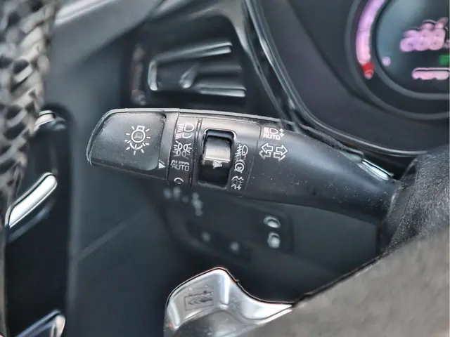 Kia e-Niro DynamicPlusLine 64 kWh 2021 Elektrisch 13