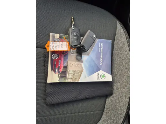 Škoda Fabia Combi 1.0 TSI Business Edition 2020 Benzine 14