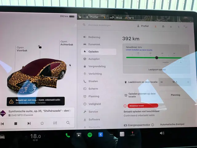 Tesla Model 3 Long Range AWD 75 kWh 2019 Elektrisch 20