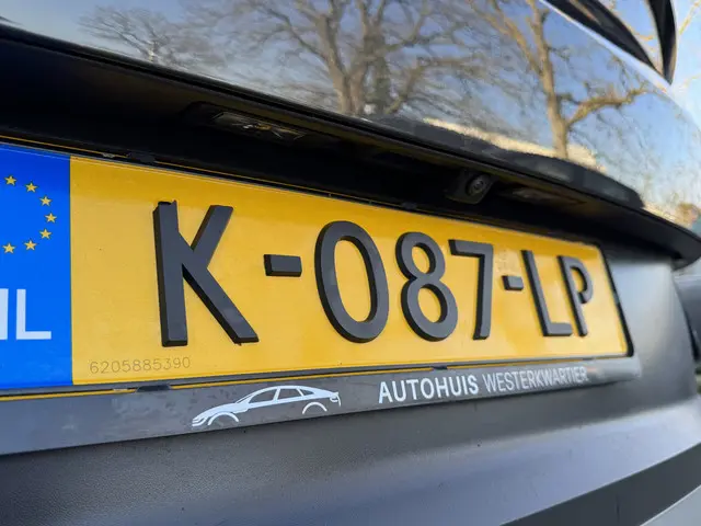 Volkswagen ID.4 First 77 kWh 204pk 2020 Elektrisch 61