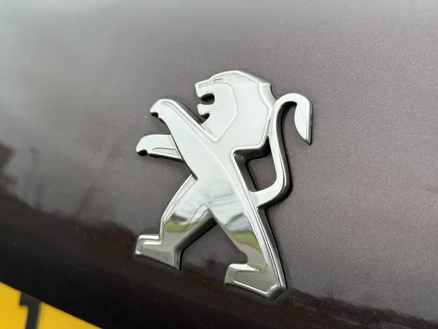 Peugeot 208 1.2 VTi Envy 2013 Benzine 24