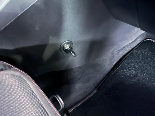 Volkswagen Polo 2.0 TSI GTI 2022 Benzine 26