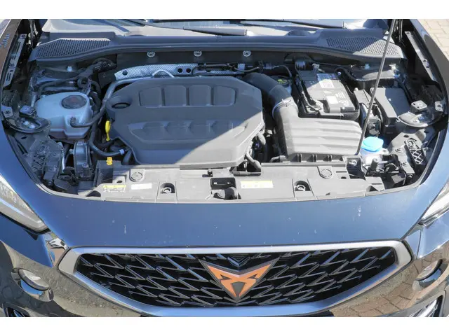 CUPRA Formentor 2.0 TSI 4DRIVE 2021 Benzine 14