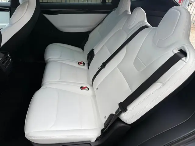 Tesla Model X 75D Base 2017 Elektrisch 9