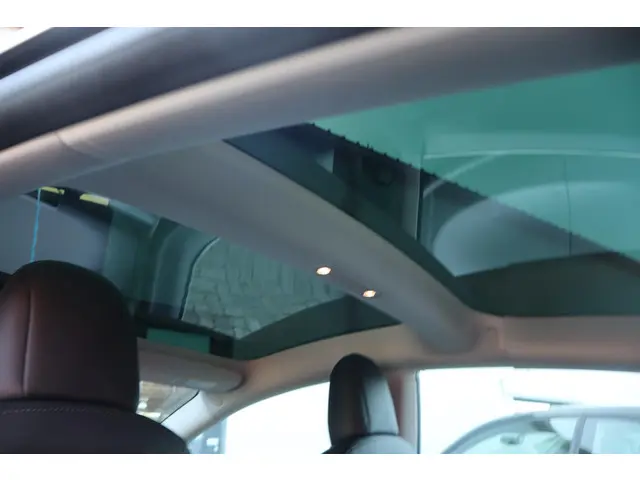 Tesla Model 3 Long Range AWD 75 kWh 2019 Elektrisch 22