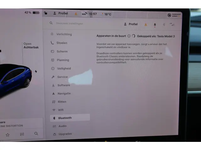 Tesla Model 3 Standard RWD Plus 60 kWh 2020 Elektrisch 47