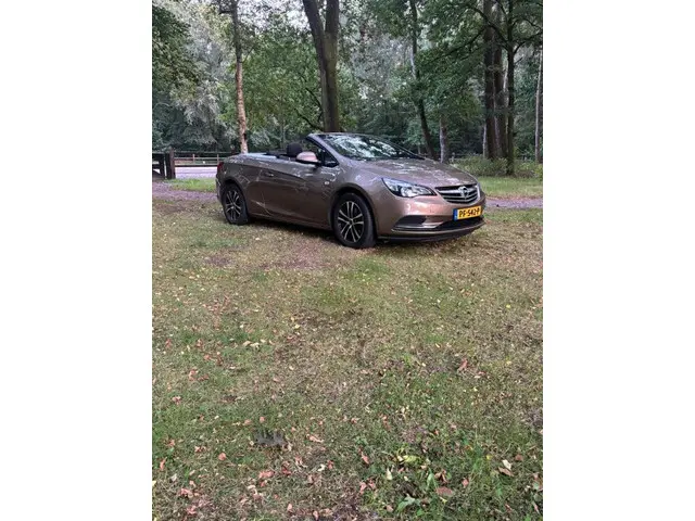 Opel Cascada 1.4 Turbo Nette auto 2014 Benzine 10
