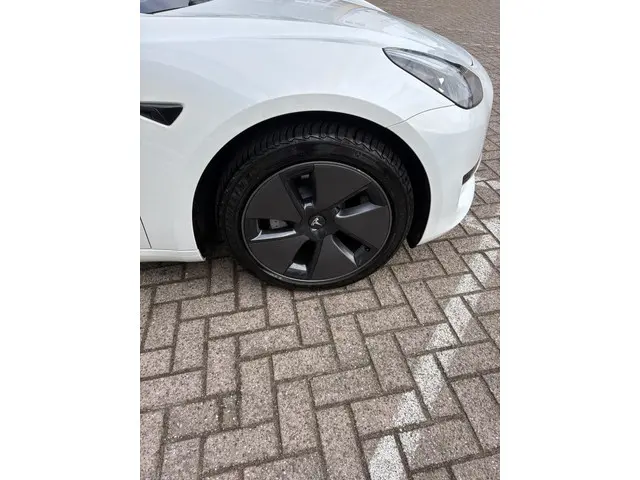 Tesla Model 3 Standard RWD Plus 60 kWh 2023 Elektrisch 4