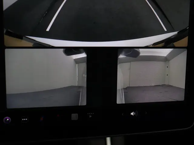 Tesla Model 3 Standard RWD Plus 60 kWh 2020 Elektrisch 19