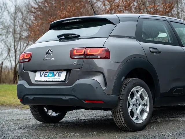 Citroën C4 Cactus 1.2 PureTech Business 2019 Benzine 39
