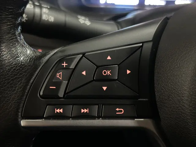 Nissan Leaf e+ Tekna 59 kWh 2021 Elektrisch 23