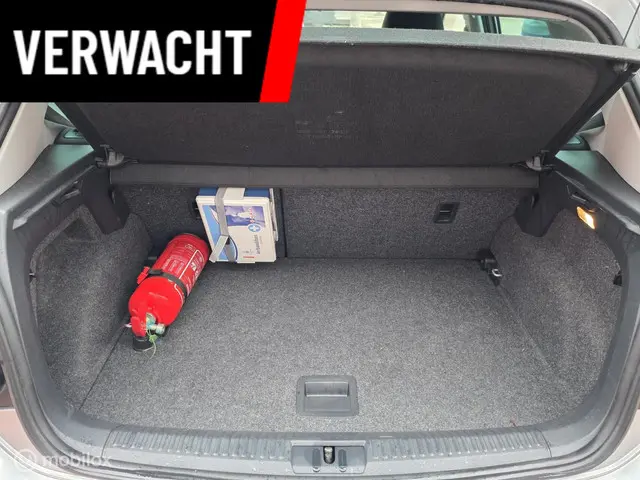 Volkswagen Polo 1.4 TDI BlueMotion 2014 Diesel 11