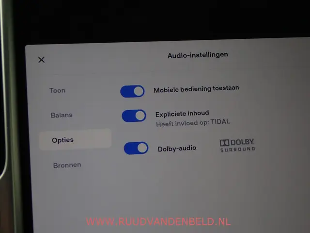 Tesla Model S 100D 2017 Elektrisch 18