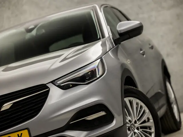 Opel Grandland X 1.2 Turbo Executive Sport 2018 Benzine 30