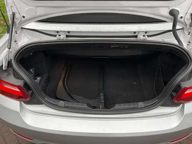 BMW 2 Serie Cabrio 220i 2016 Benzine 23