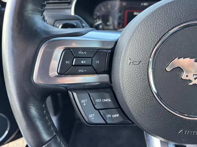 Ford Mustang Fastback 5.0 V8 Mach-1 2023 Benzine 22