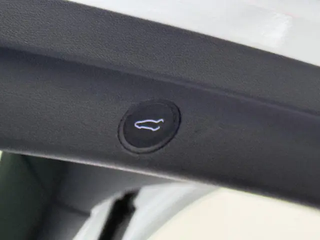 Tesla Model Y Long Range AWD 75 kWh 2022 Elektrisch 12