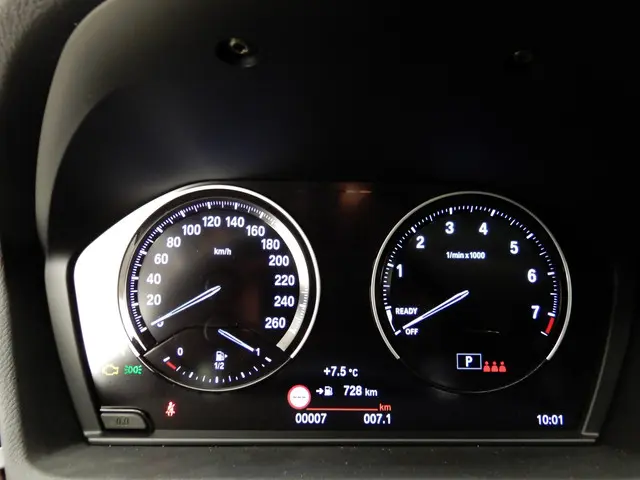 BMW X2 xDrive20i High Executive 2024 Benzine 11