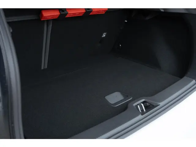 Volvo EX30 Extended Range Plus 69 kWh 2024 Elektrisch 20