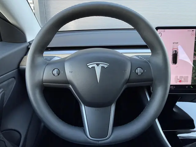 Tesla Model 3 Long Range AWD 75 kWh 2019 Elektrisch 11