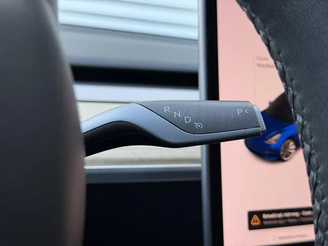 Tesla Model 3 Long Range AWD 75 kWh 2021 Elektrisch 42