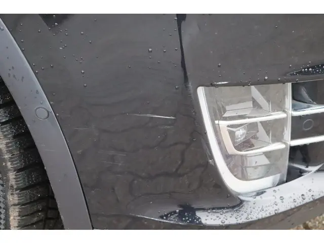 Tesla Model X 100D 6p. 2018 Elektrisch 13