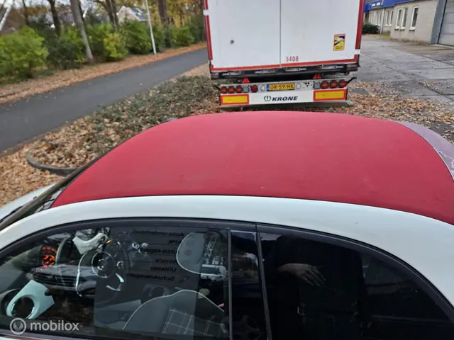 Fiat 500 1.2 CABRIO // 97000 KM 2017 Benzine 9