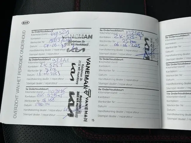 Kia e-Niro ExecutiveLine 64 kWh 2019 Elektrisch 11