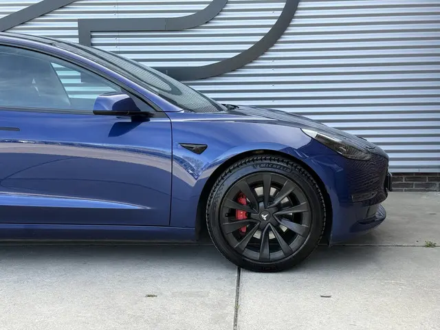 Tesla Model 3 Long Range AWD 75 kWh 2021 Elektrisch 26