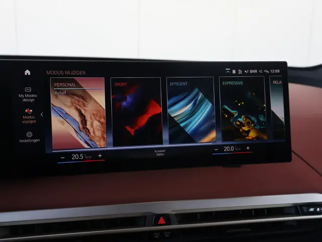 BMW iX xDrive50 High Executive 112 kWh 2022 Elektrisch 30