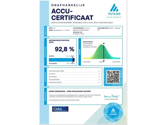 Ford Mustang Mach-E RWD 75 kWh 2021 Elektrisch 50