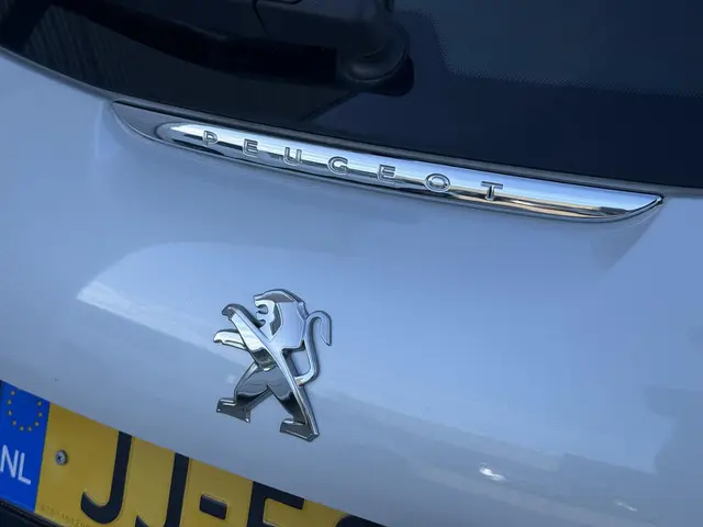 Peugeot 208 1.2 PureTech Blue Lion 2016 Benzine 25