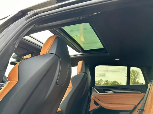 BMW X4 xDrive20i Bns Ed.+ PANORAMADAK | NAP ! 2021 Benzine 25