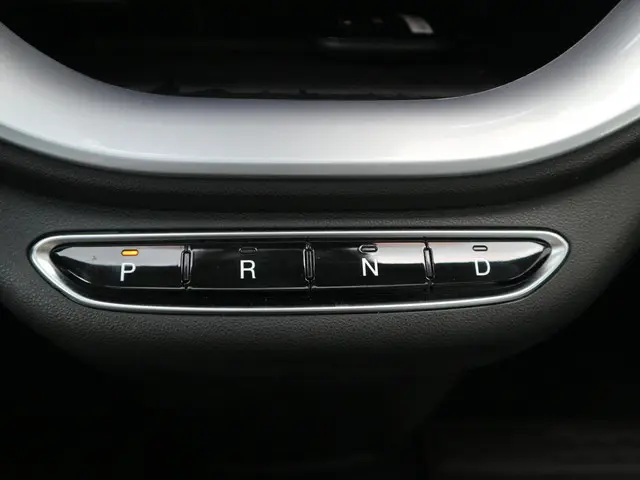 Fiat 500 Icon 42 kWh 2021 Elektrisch 20