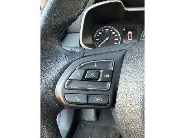 MG MG ZS EV Luxury 45 kWh 2020 Elektrisch 13