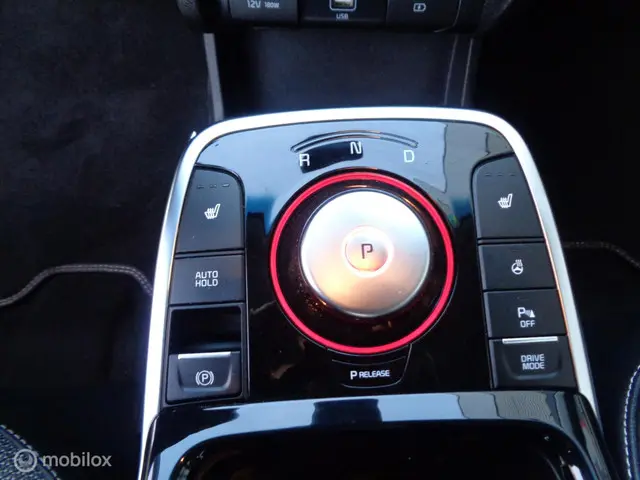 Kia e-Niro ExecutiveLine 64 kWh 2020 Elektrisch 22
