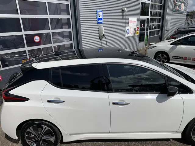 Nissan Leaf Tekna 40 kWh 2018 Elektrisch 14