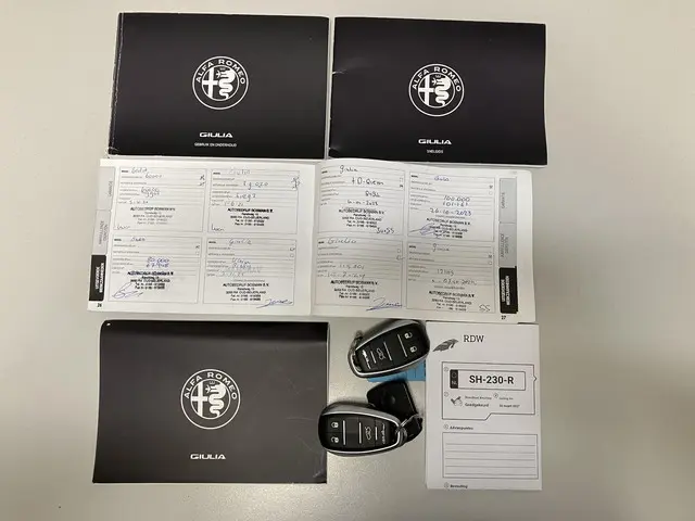 Alfa Romeo Giulia 2.2 Eco Business Super 2018 Diesel 28